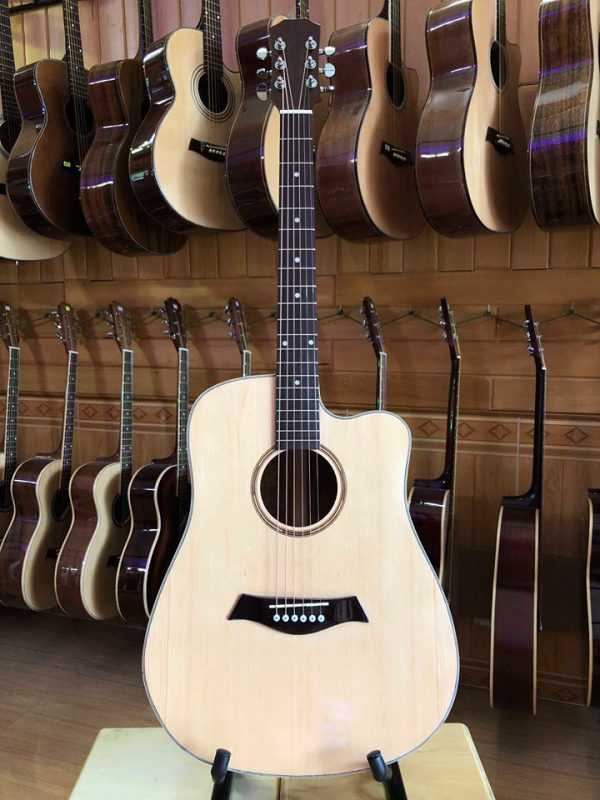 Đàn Guitar Acoustic VN M40