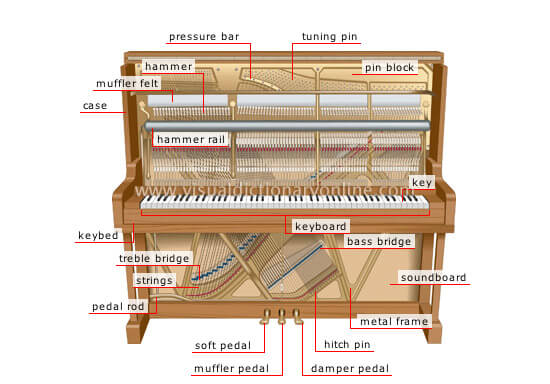 Những Lưu Ý Khi Mua Đàn Đã Qua Sử Dụng