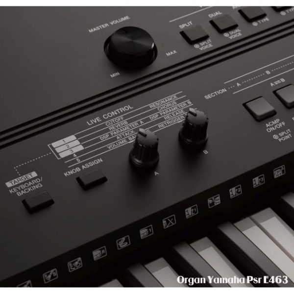 Organ Yamaha PSR-E463 - Hình ảnh 5