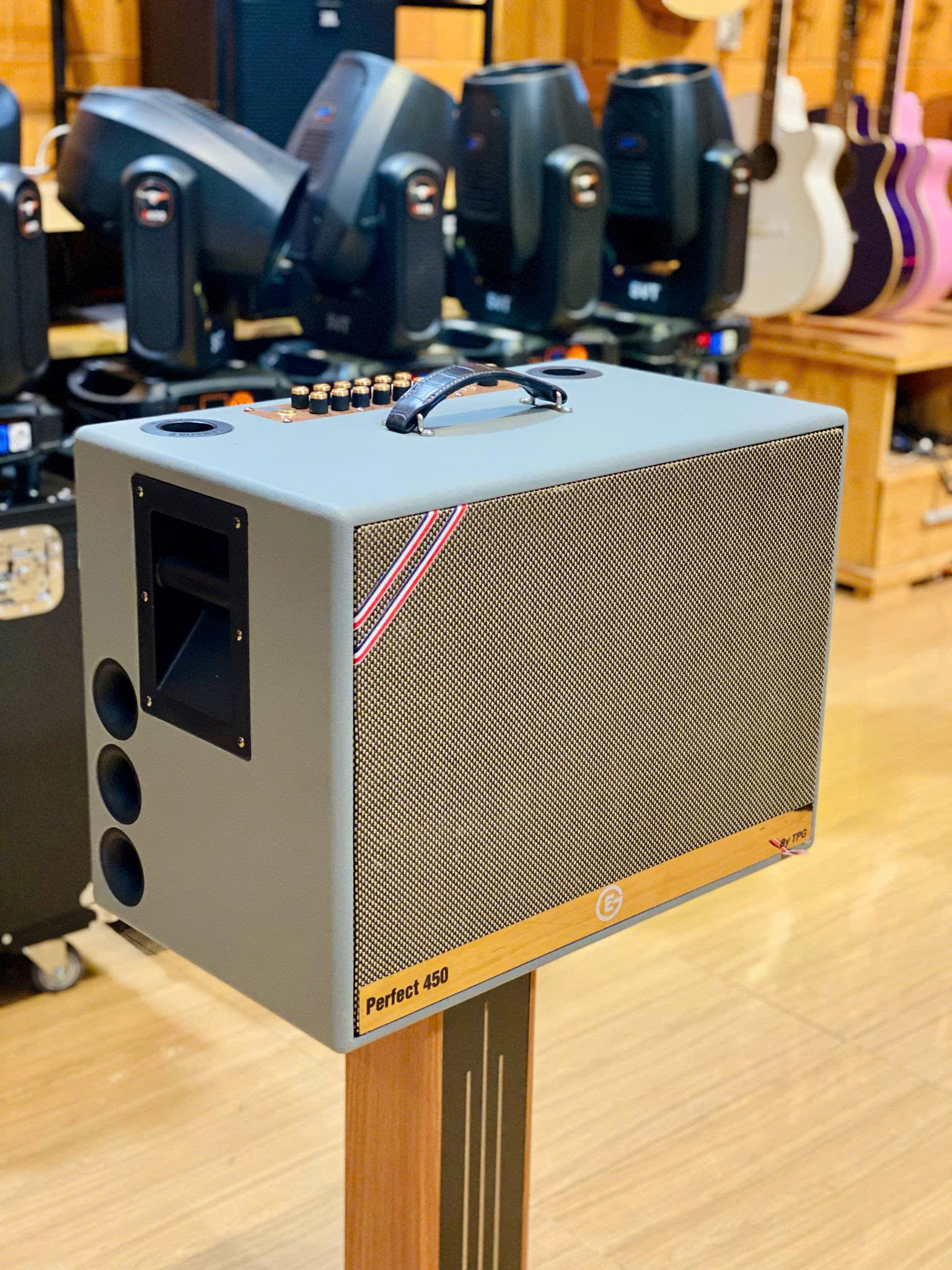 Loa Perfect 450 - Ảnh 6
