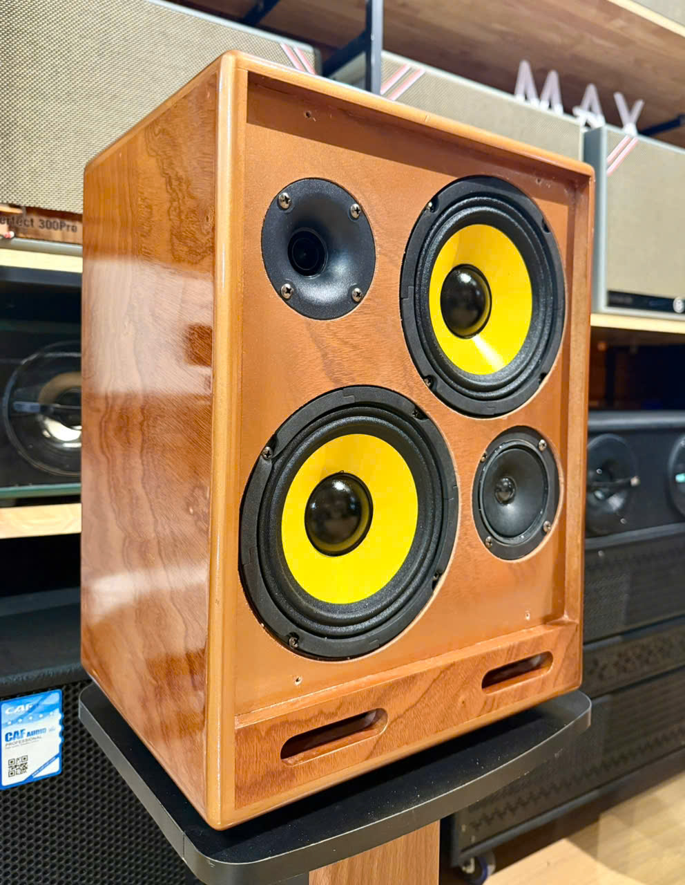 Loa EG Perfect 250 - Ảnh 2