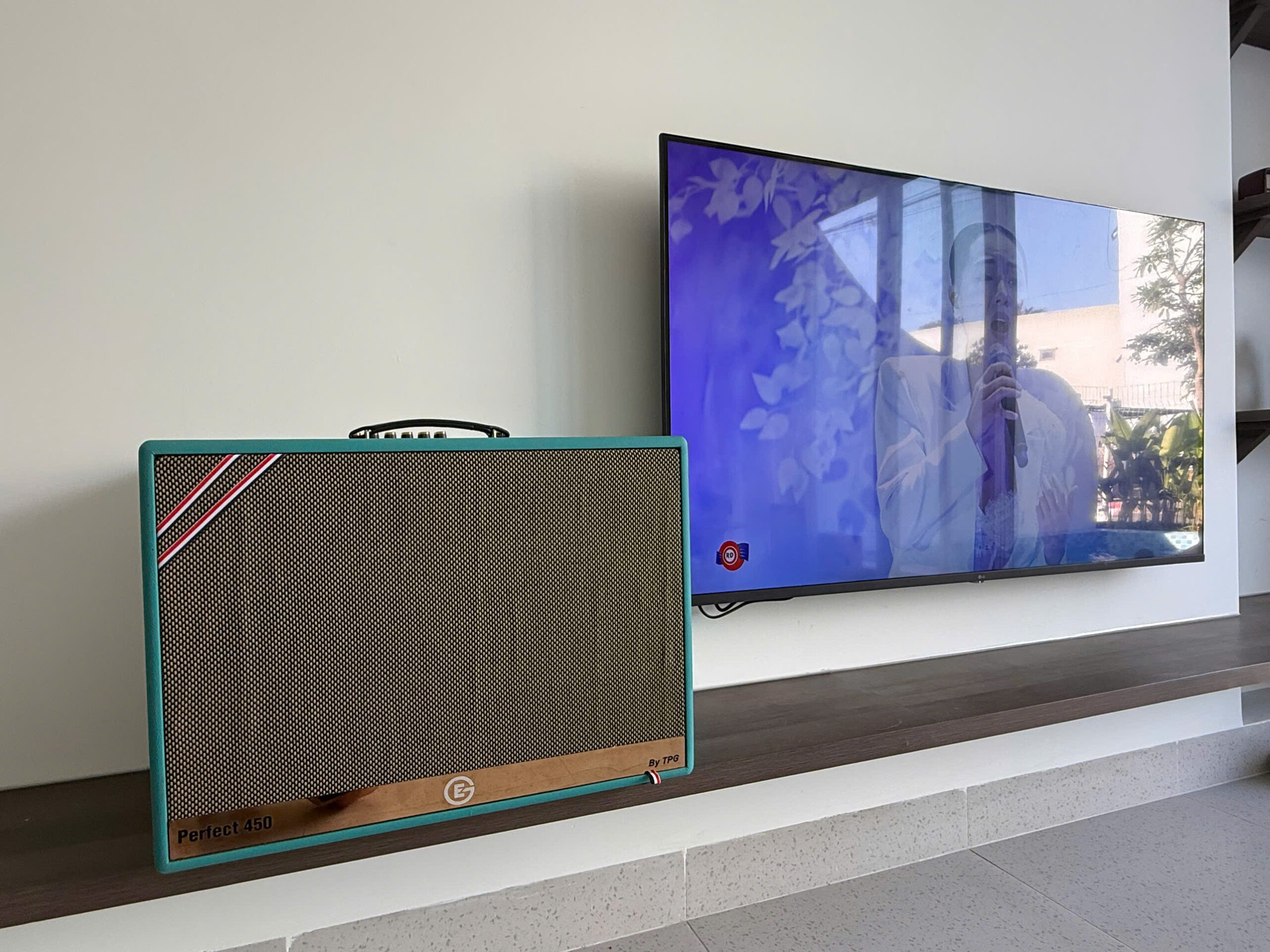 Loa Perfect 450 - Ảnh 8