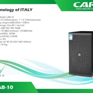 CAF LAB-10