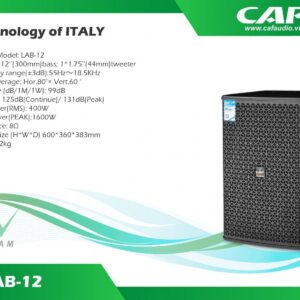 CAF LAB-12