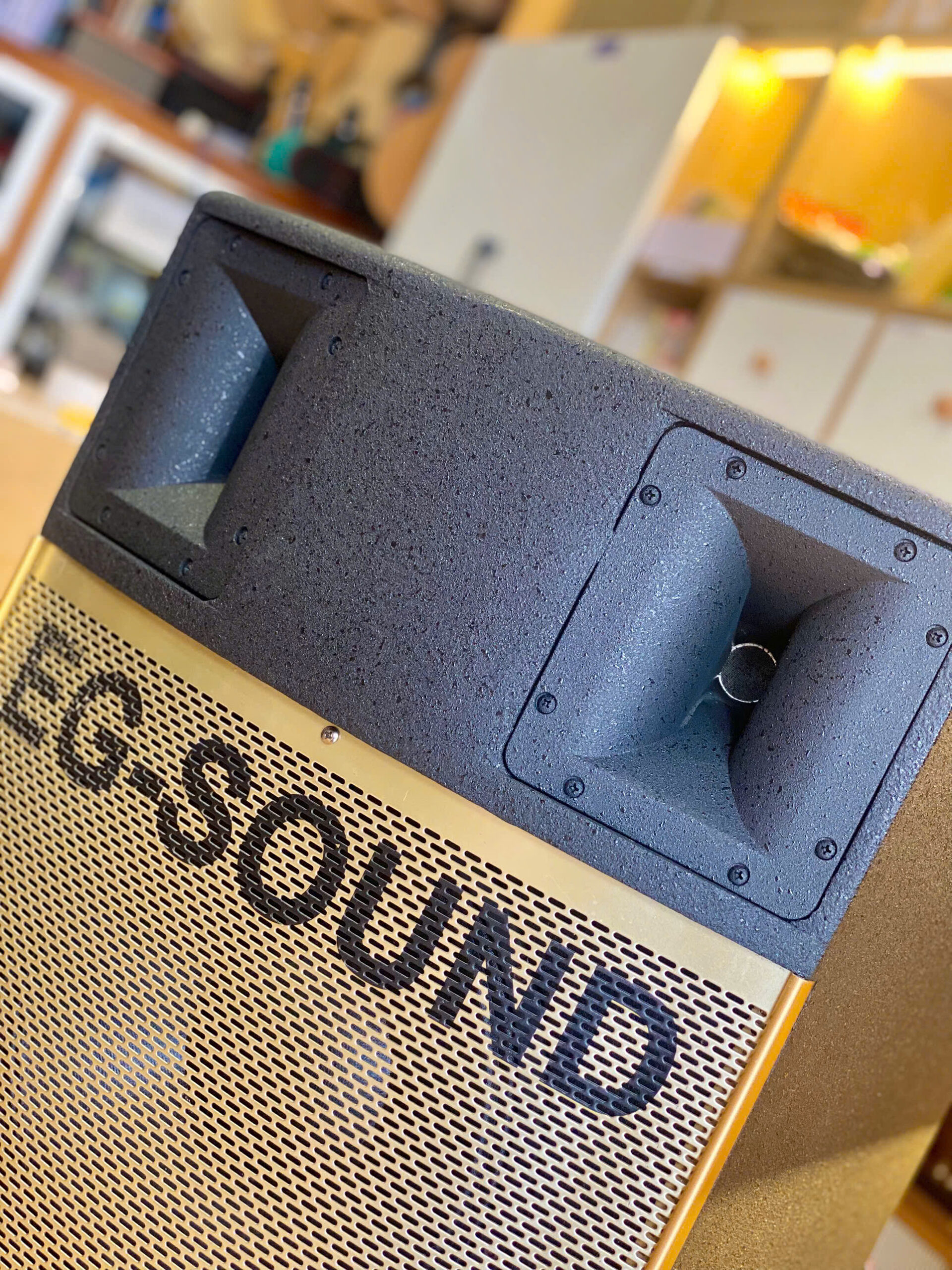 Loa EG-SINGWELL 600 - Ảnh 7