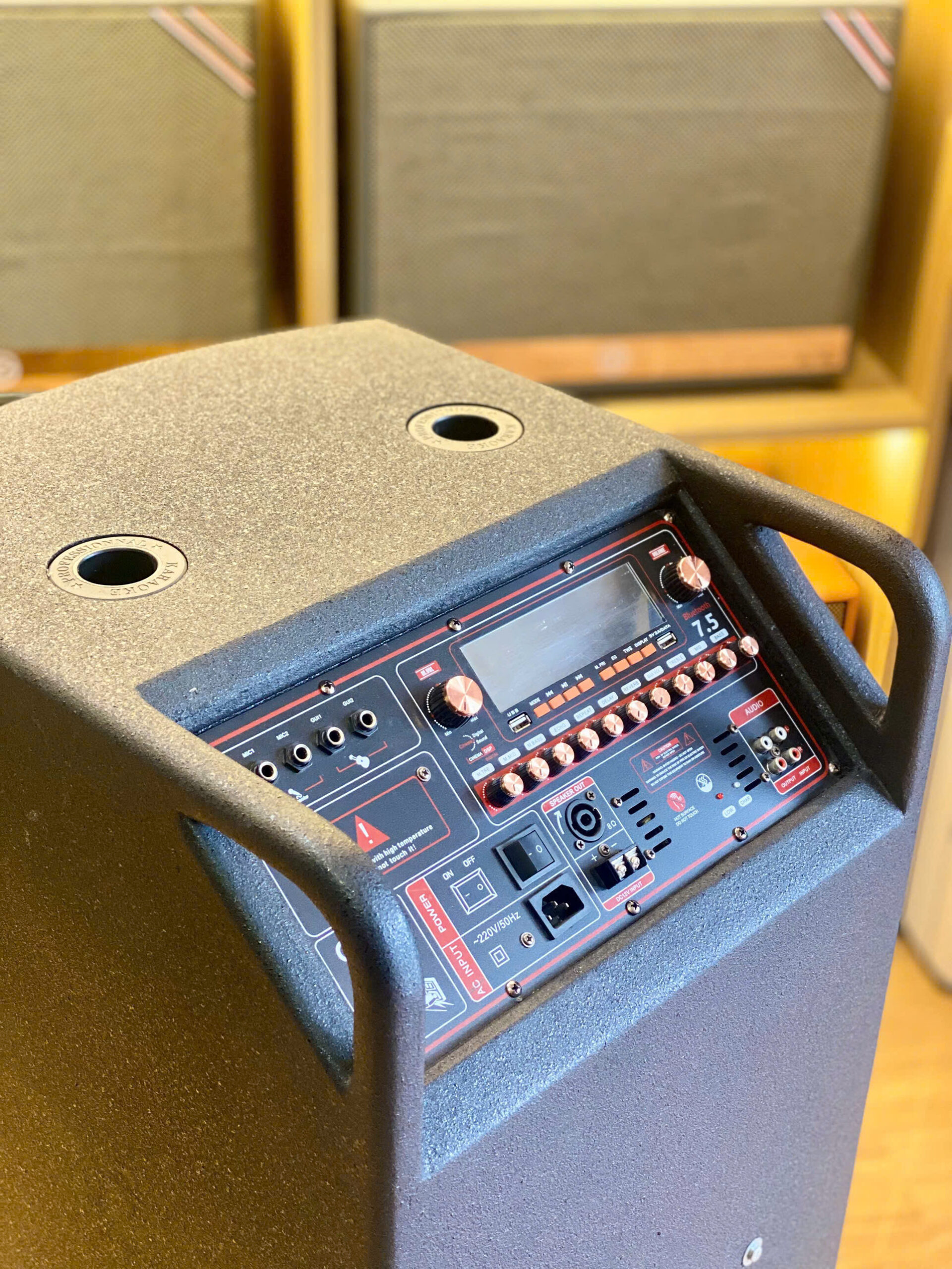 Loa EG-SINGWELL 600 - Ảnh 4