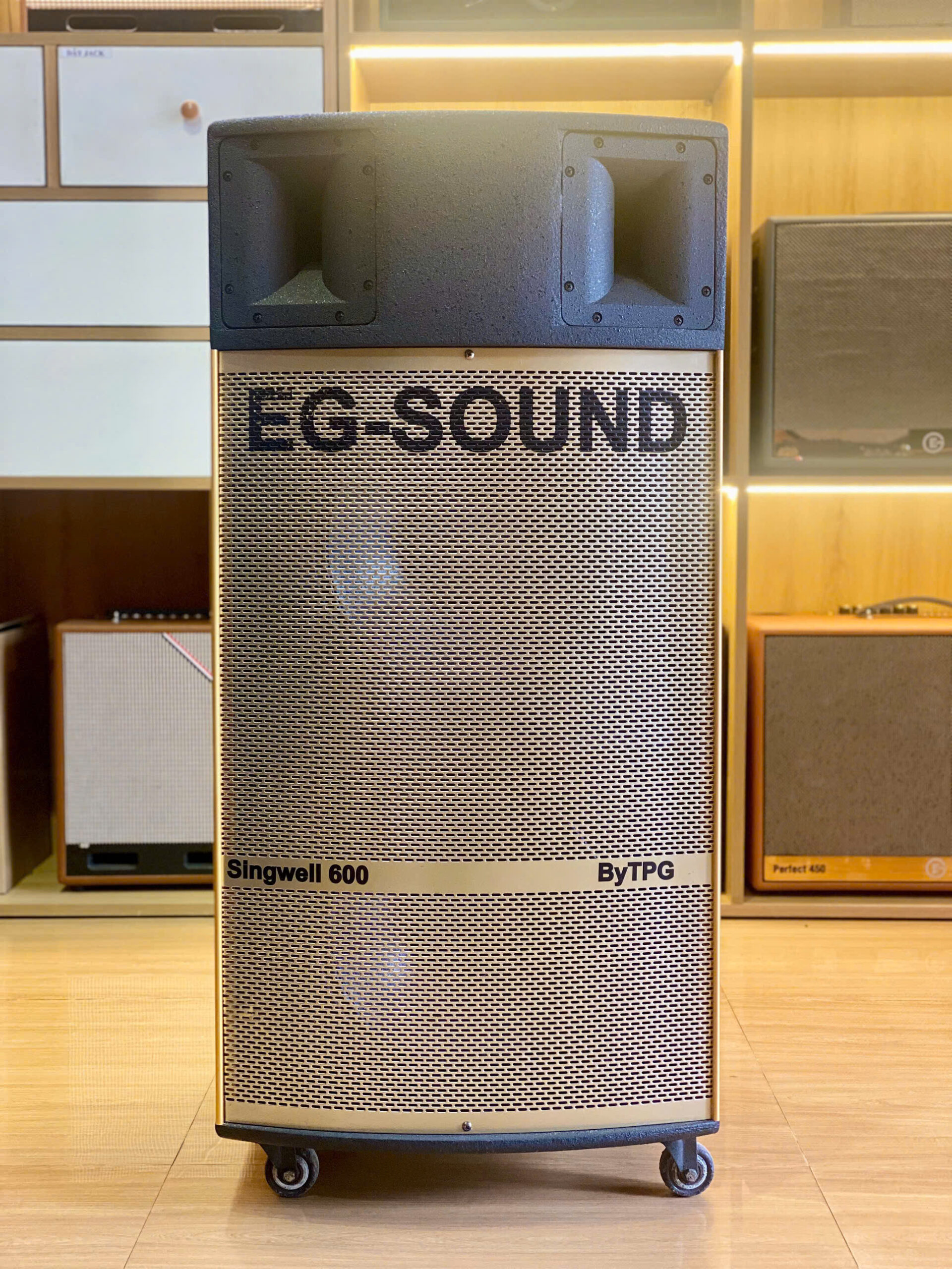 Loa EG-SINGWELL 600 - Ảnh 2