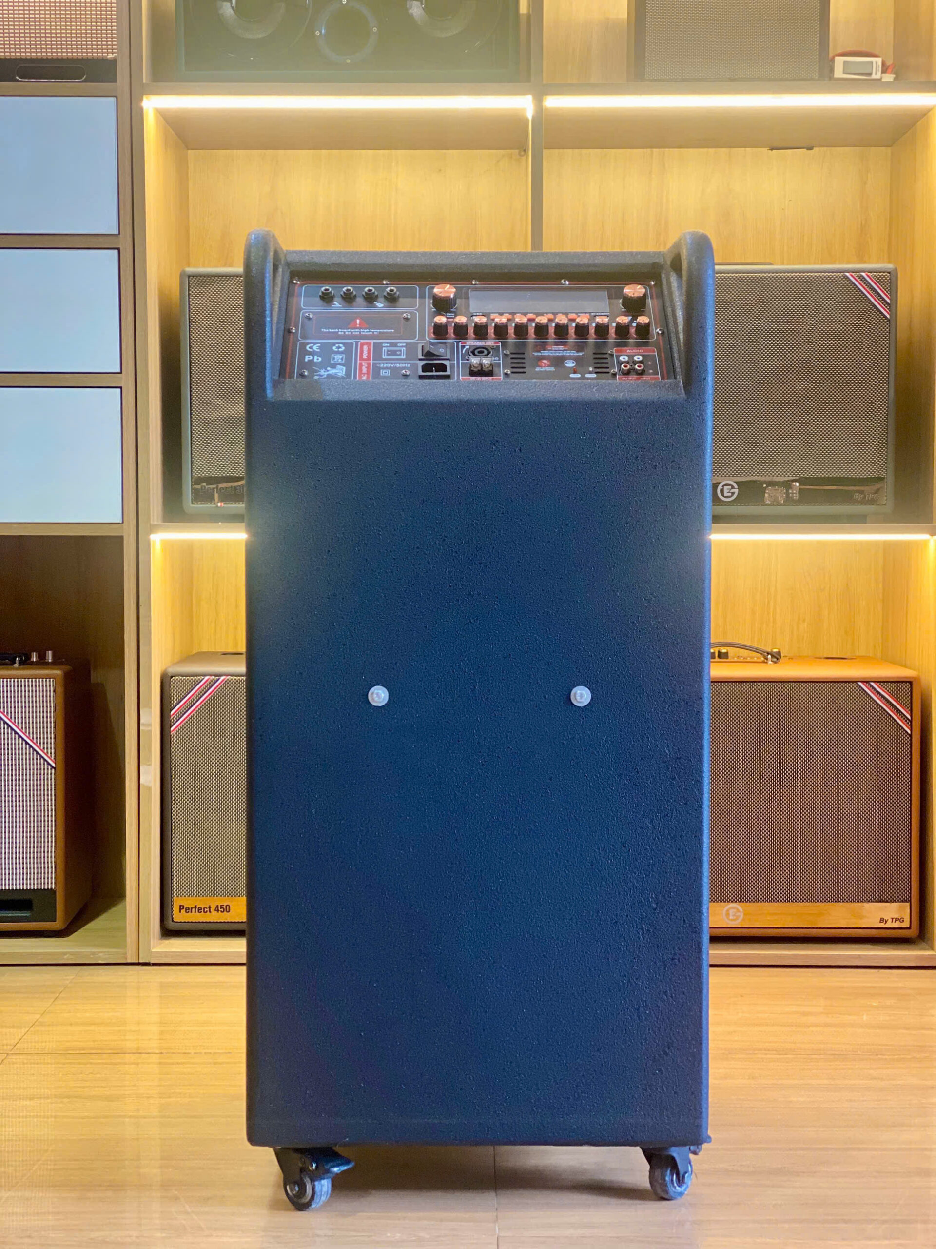 Loa EG-SINGWELL 600 - Ảnh 6