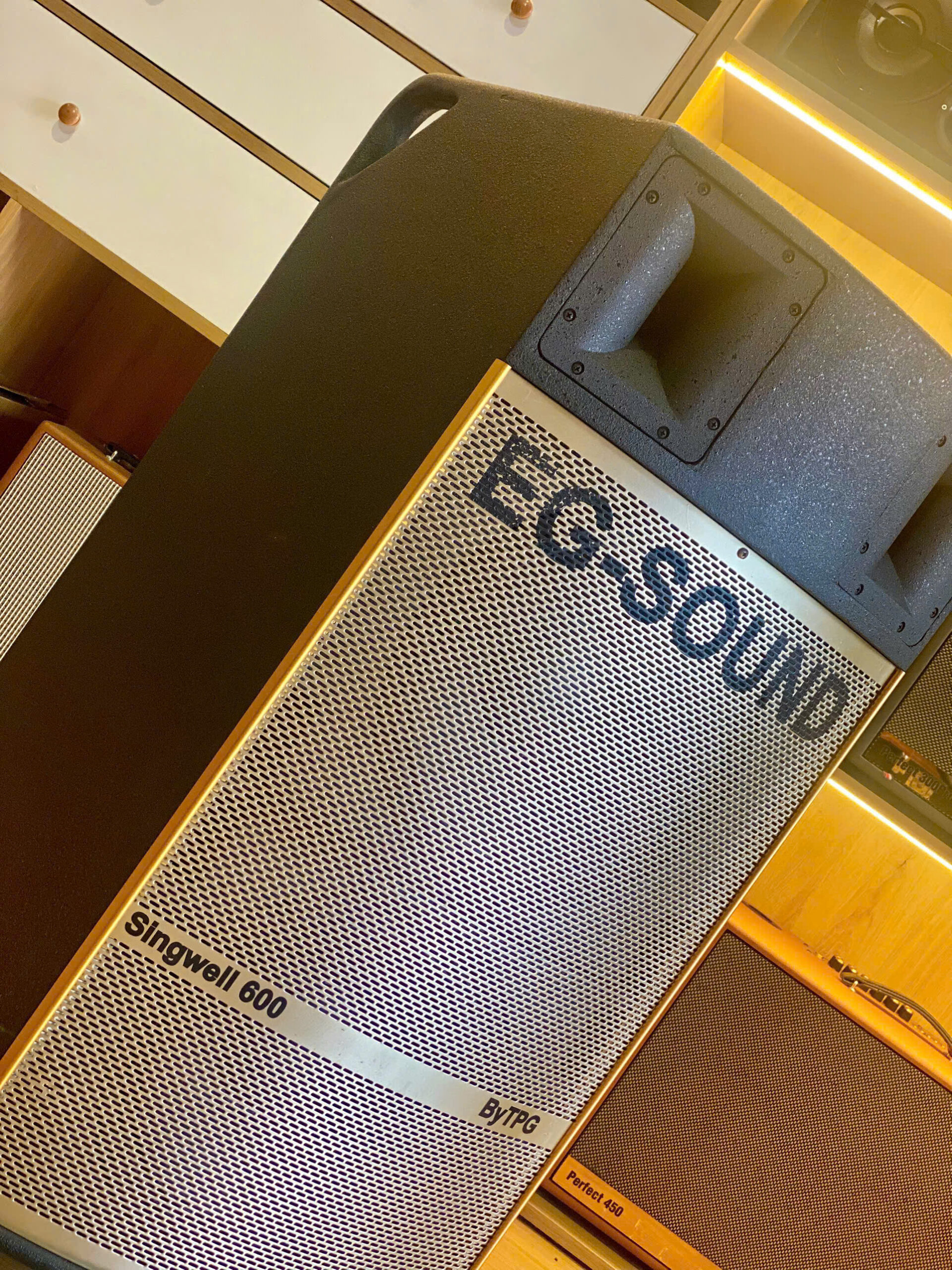 Loa EG-SINGWELL 600 - Ảnh 5